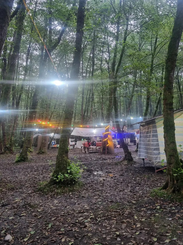 جنگل گیسوم رشت