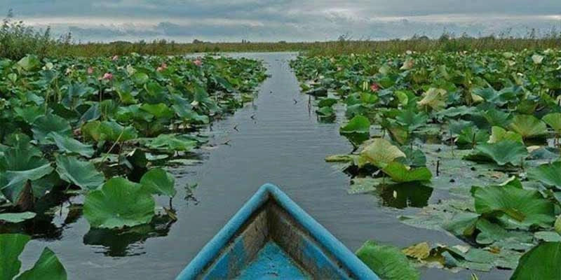 تالاب انزلی